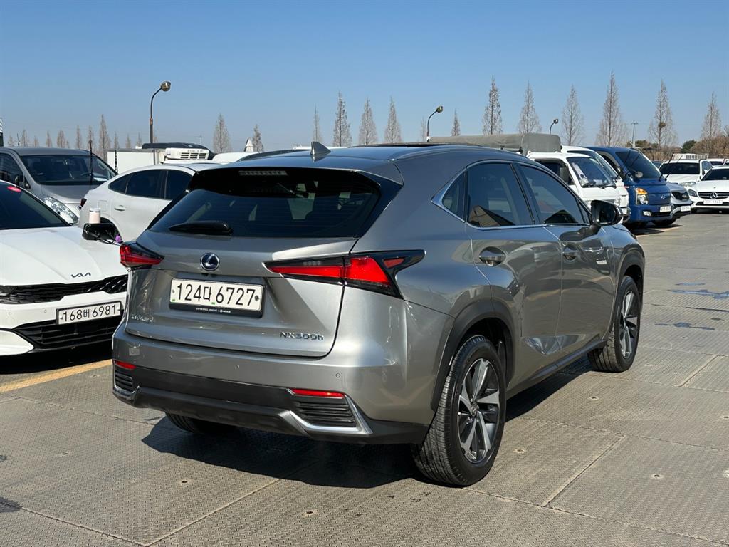 Lexus NX - Vista 4