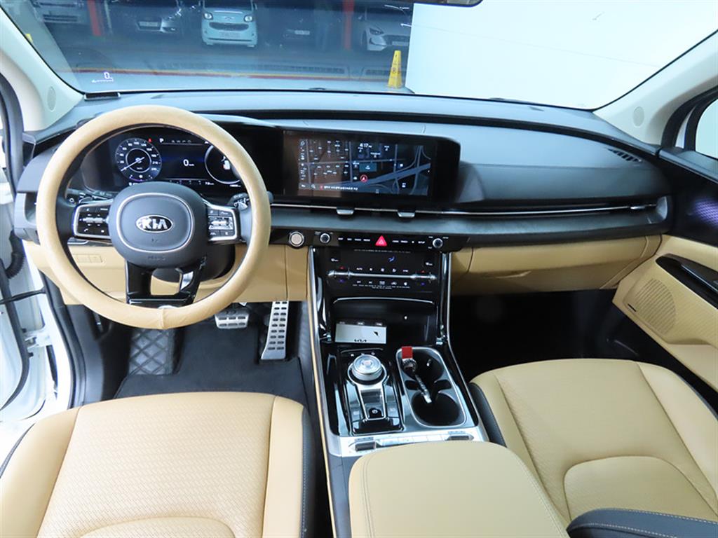 KIA Carnival - Vista 8