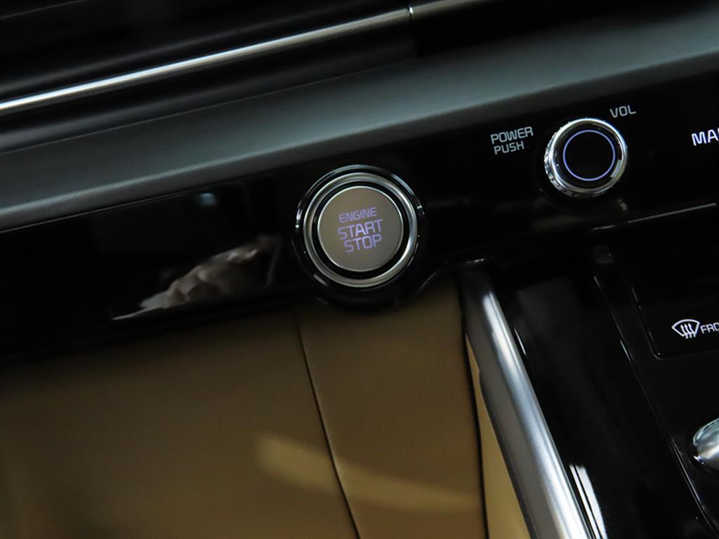 KIA Carnival - Vista 12