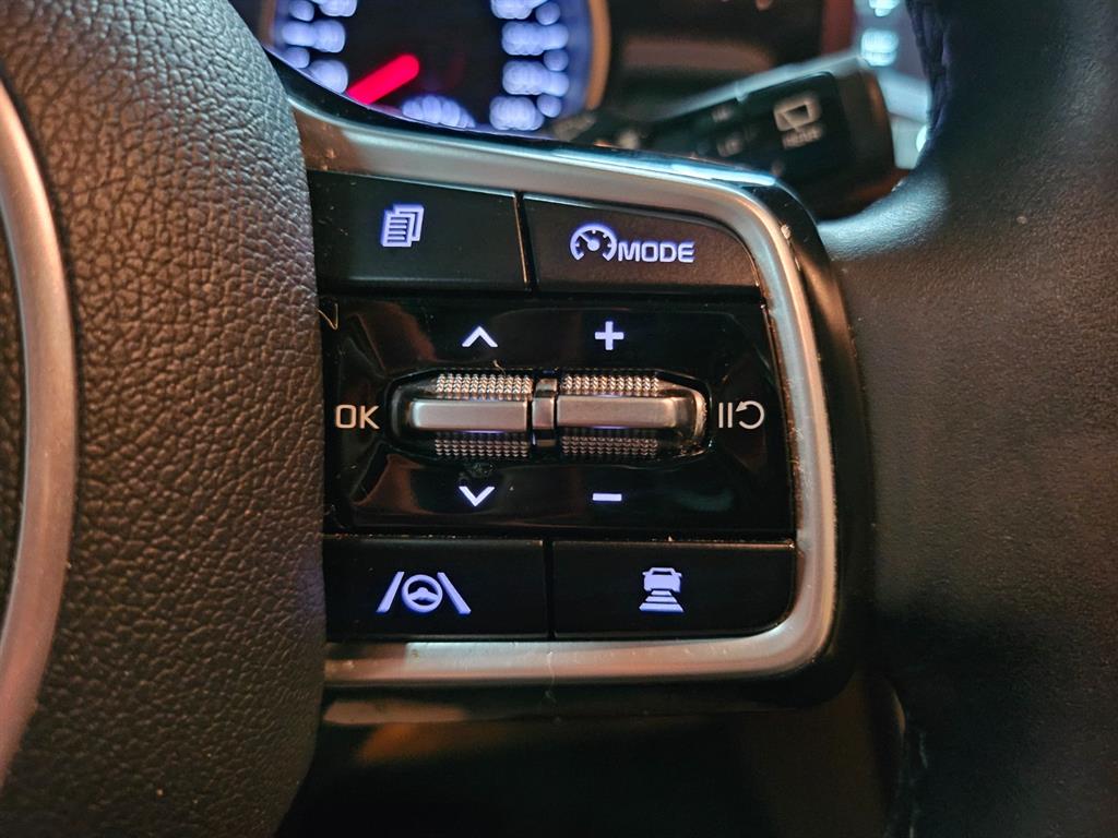 KIA Carnival - Vista 11