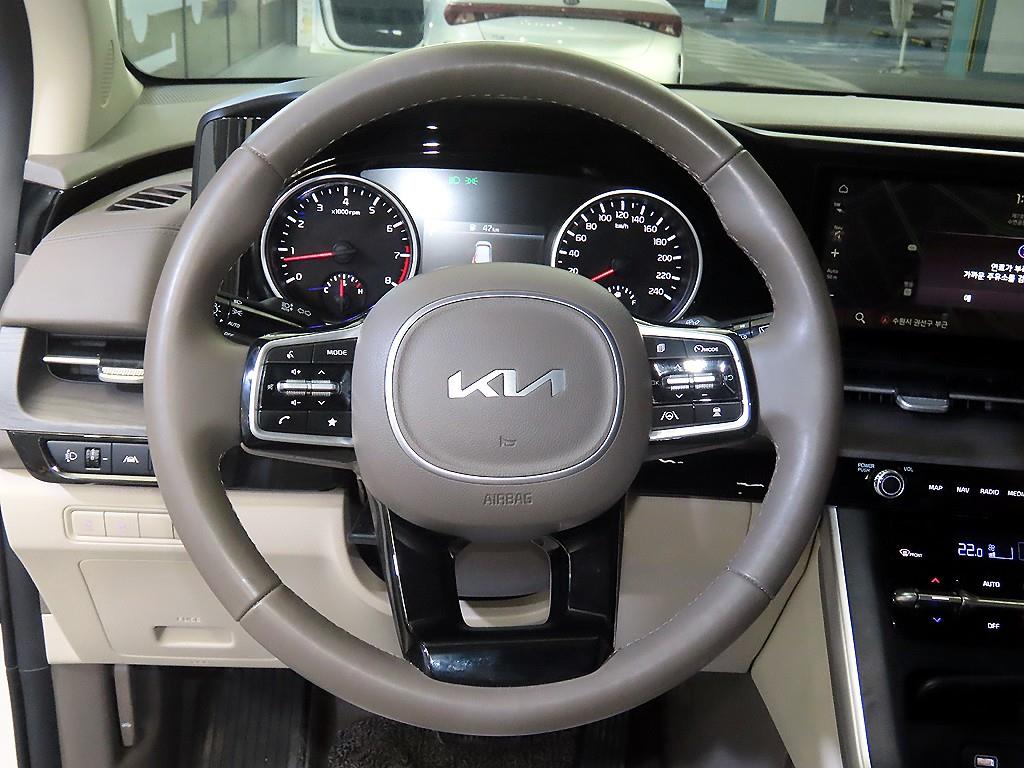 KIA Carnival - Vista 8