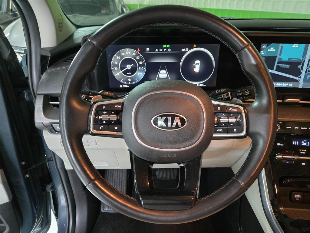 KIA Carnival - Vista 10