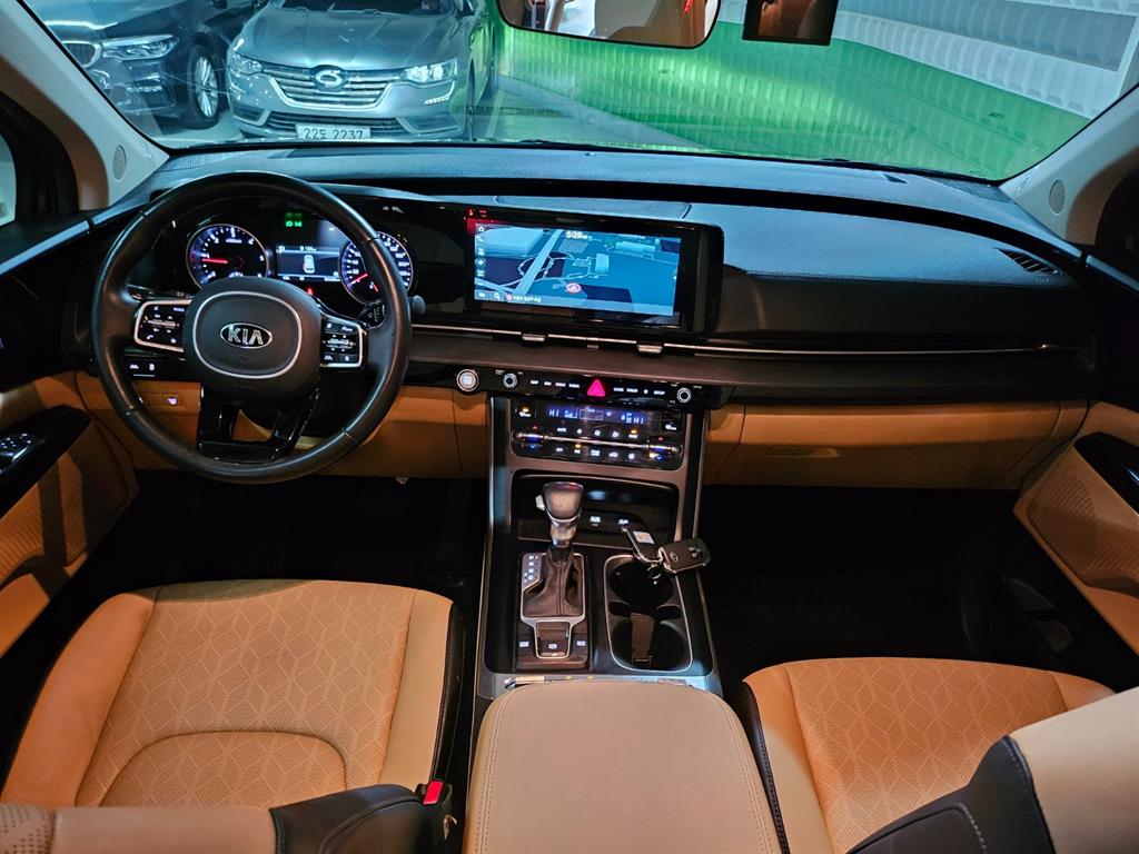 KIA Carnival - Vista 8