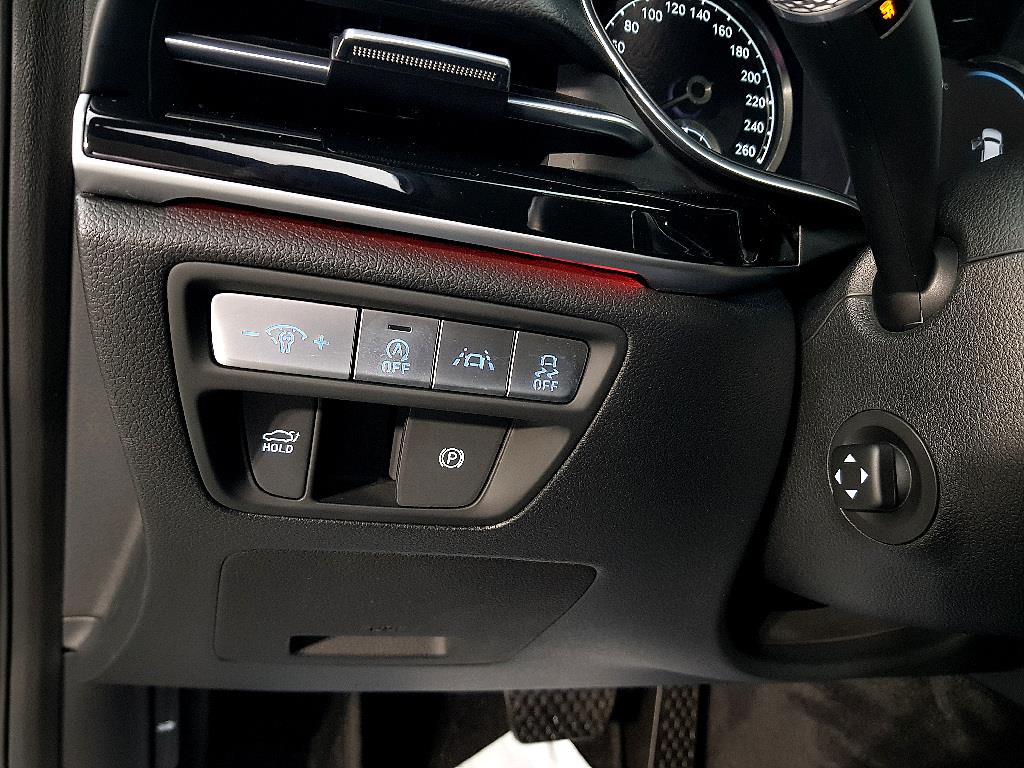 Genesis G80 - Vista 11