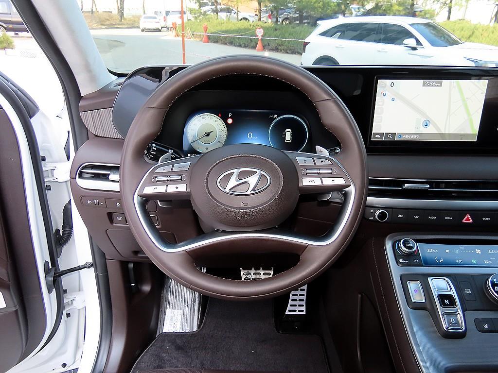 HYUNDAI Palisade - Vista 8