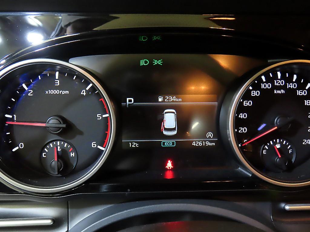 KIA Carnival - Vista 9