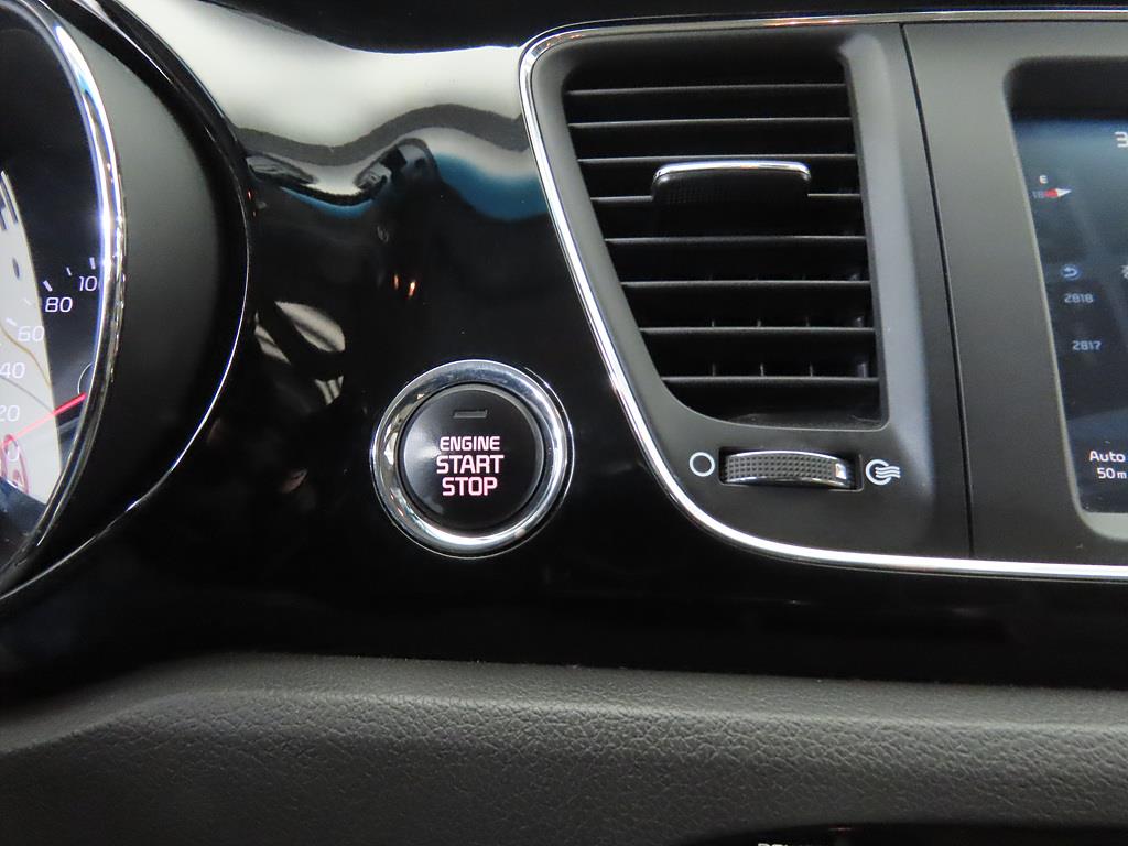 KIA Carnival - Vista 12