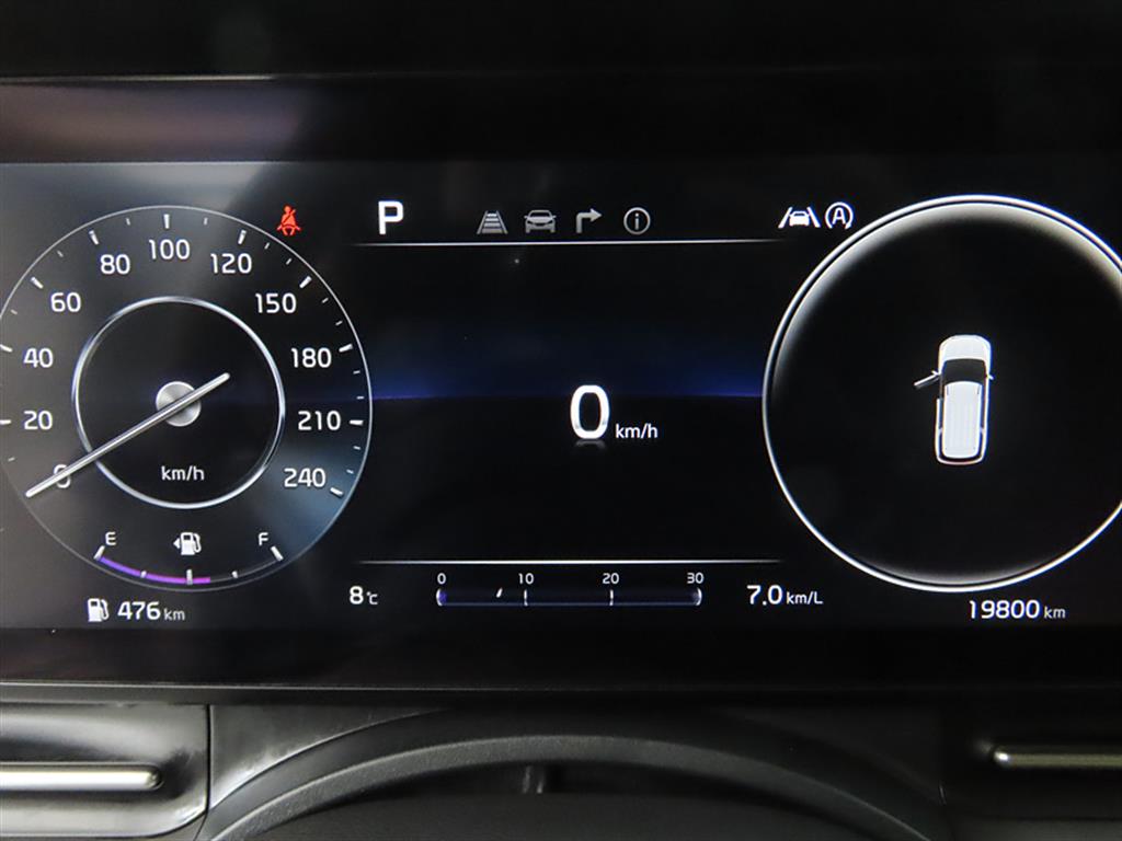 KIA Carnival - Vista 9