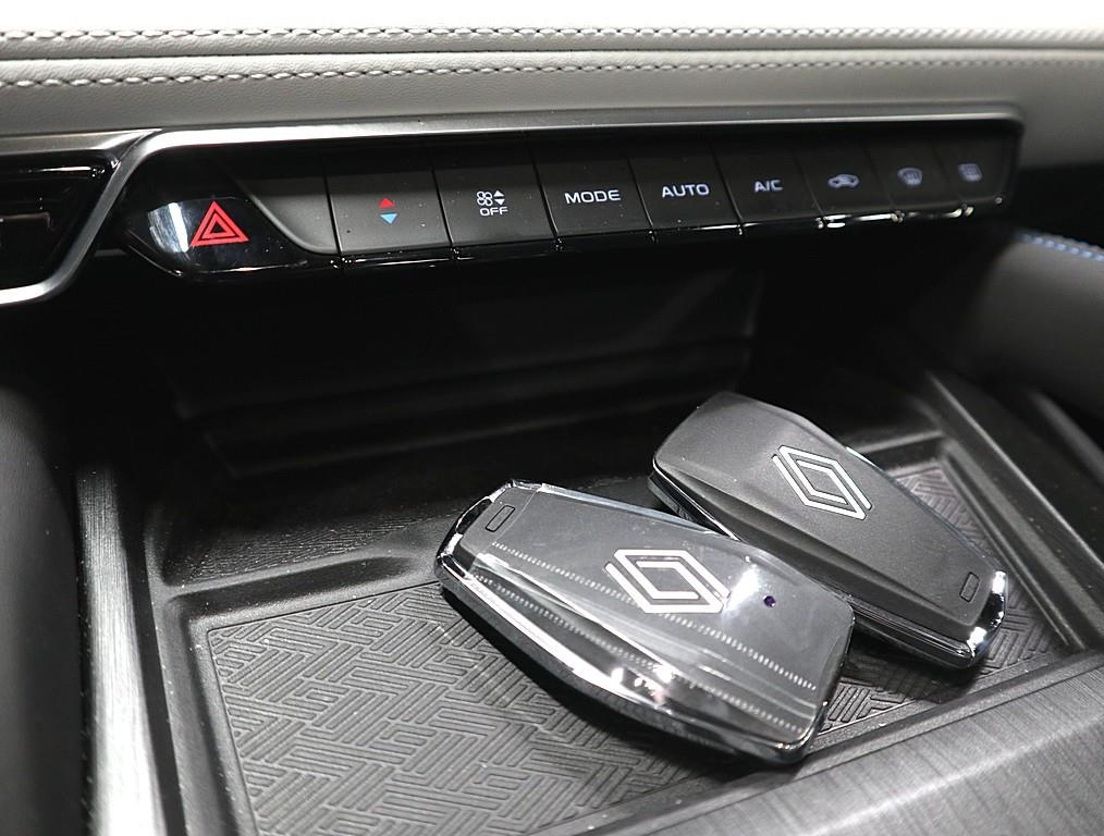 SAMSUNG Grand Koleos - Vista 12