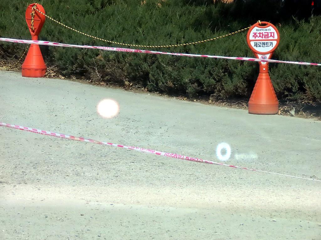 KIA Carnival - Vista 12