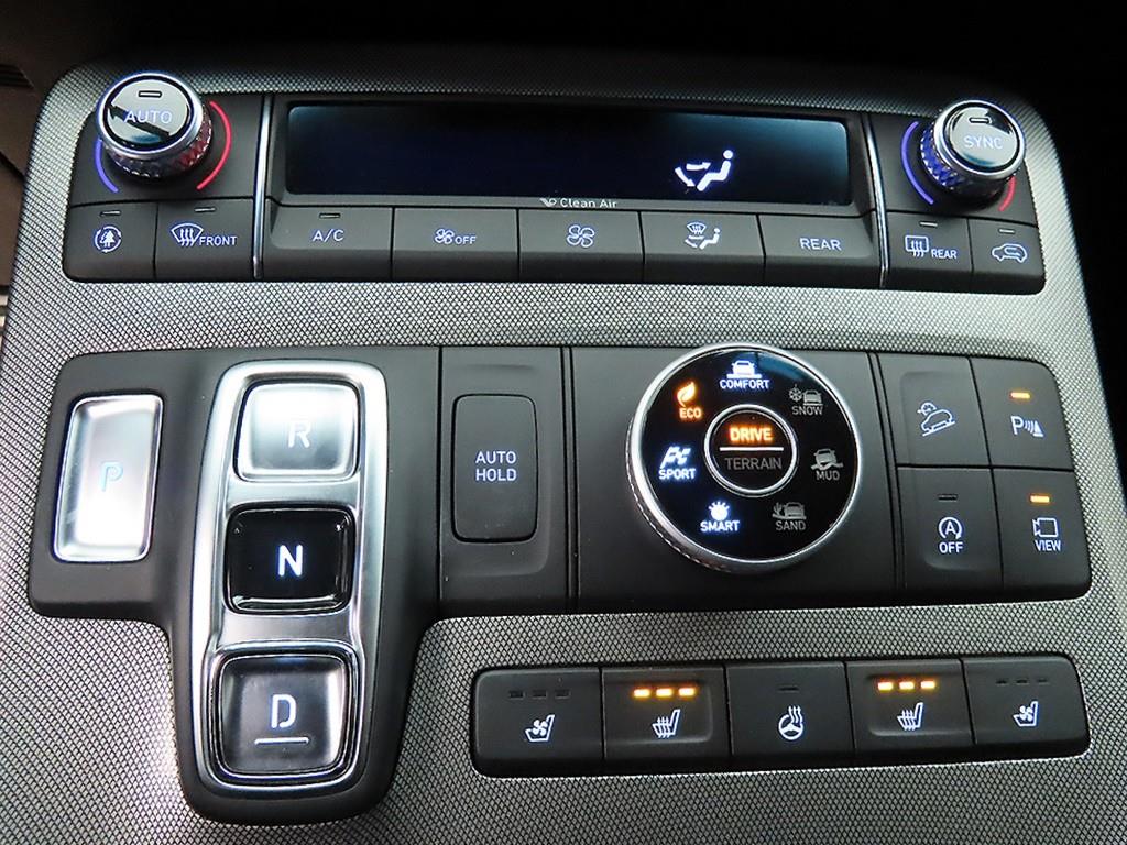 HYUNDAI Palisade - Vista 10