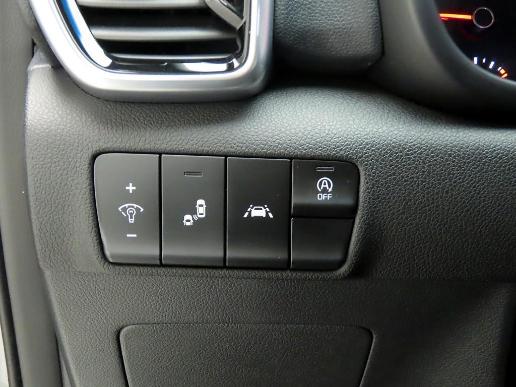 KIA Sportage - Vista 12