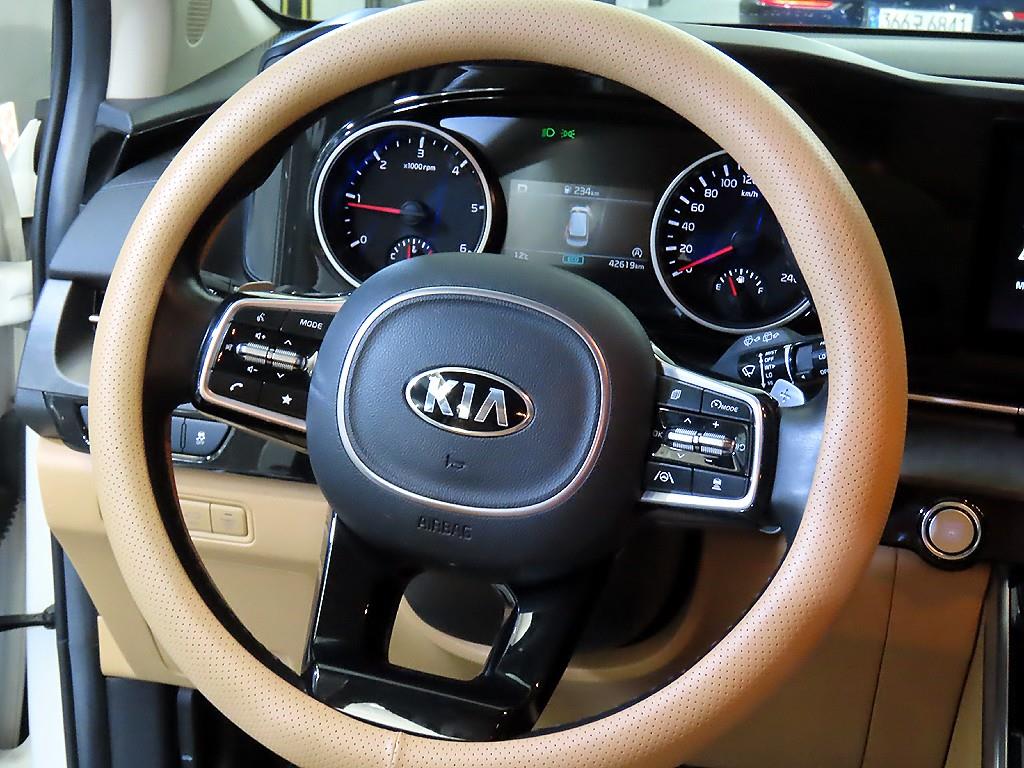 KIA Carnival - Vista 8