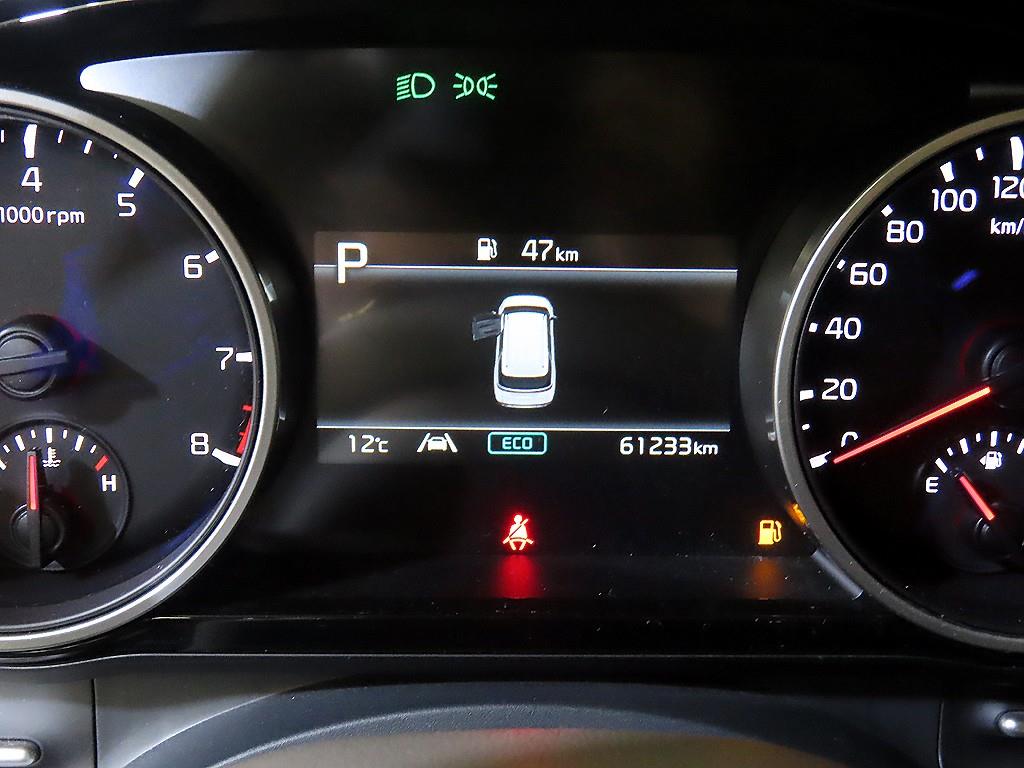 KIA Carnival - Vista 9