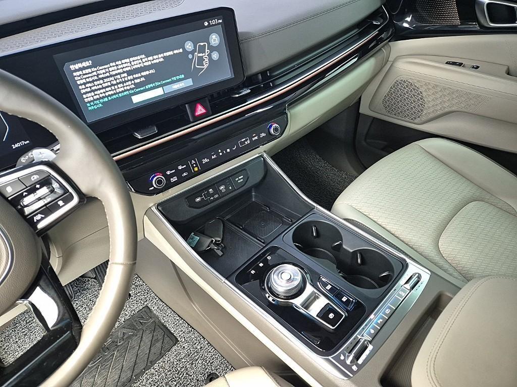 KIA Carnival - Vista 10