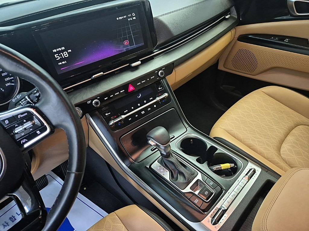 KIA Carnival - Vista 10