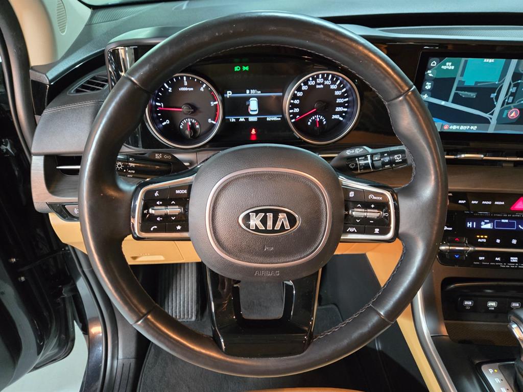 KIA Carnival - Vista 10