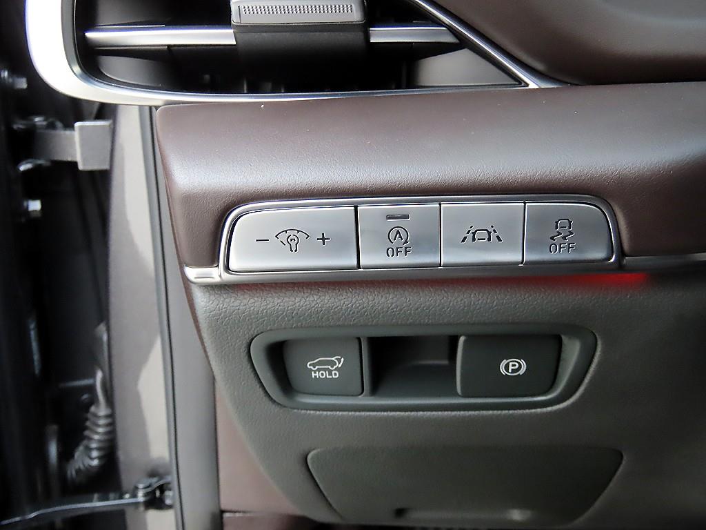 Genesis GV80 - Vista 12