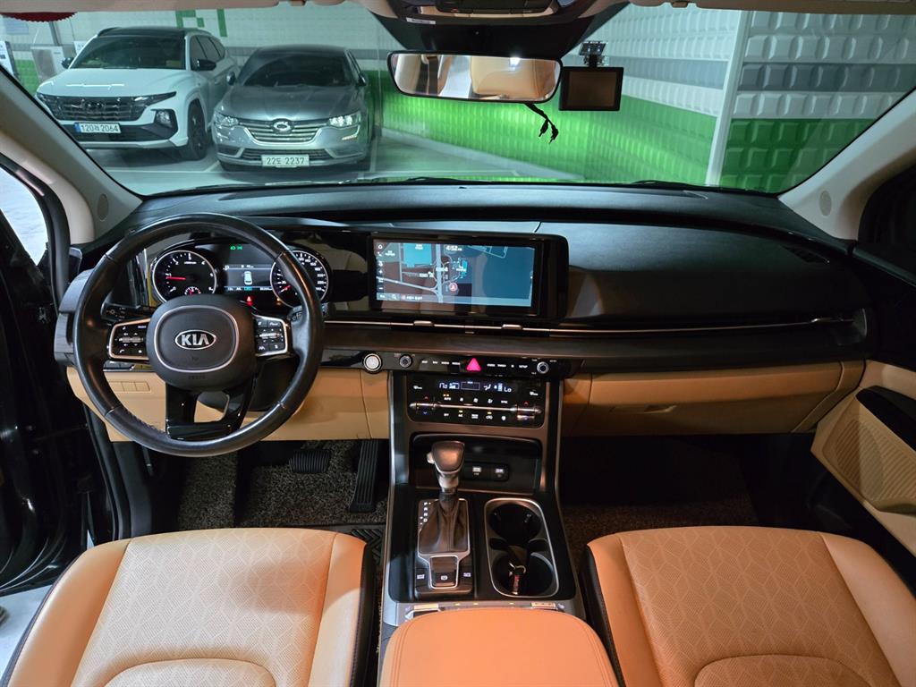 KIA Carnival - Vista 8