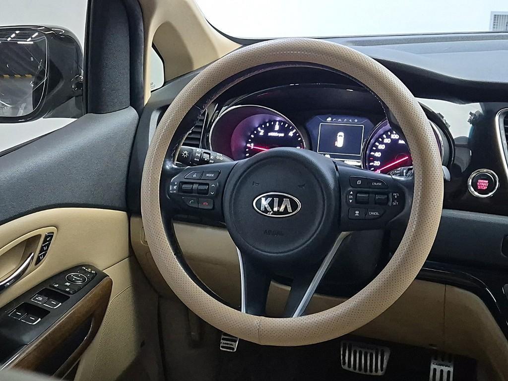 KIA Carnival - Vista 8