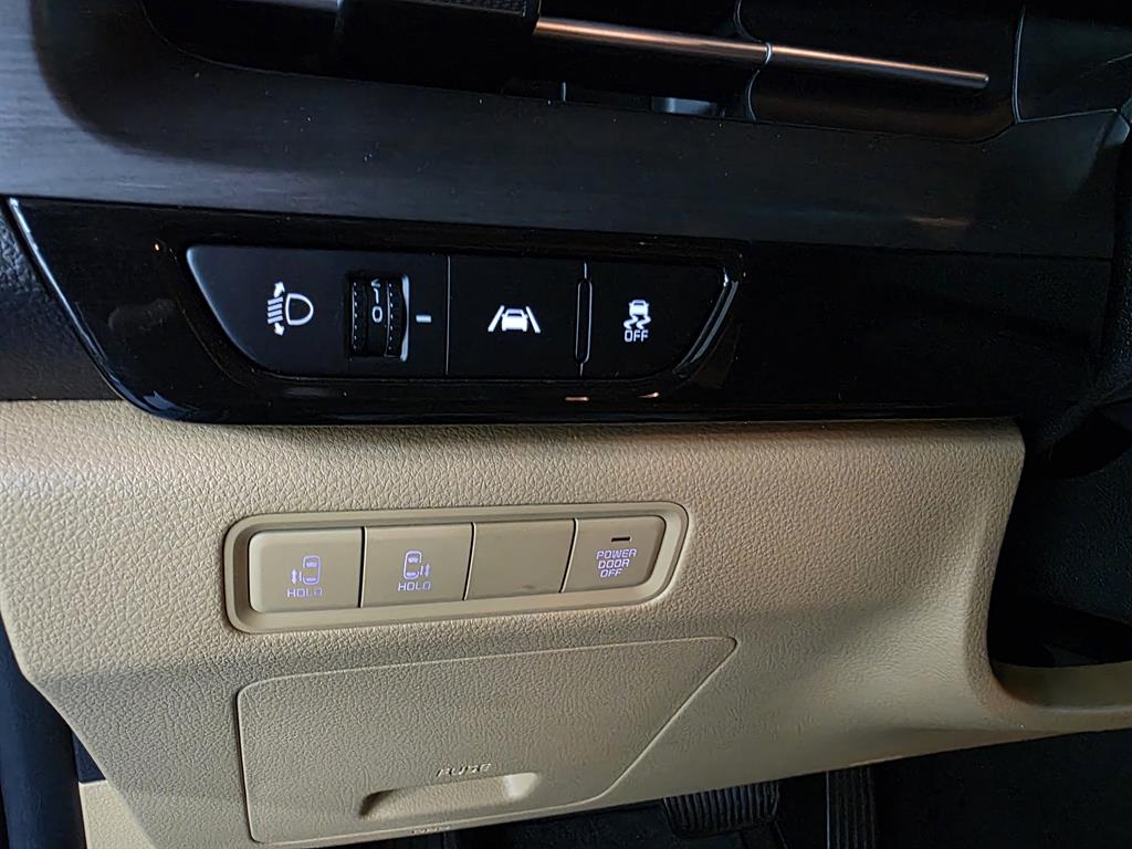 KIA Carnival - Vista 8