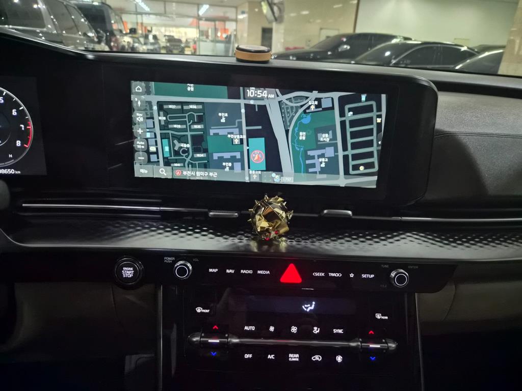 KIA Carnival - Vista 10