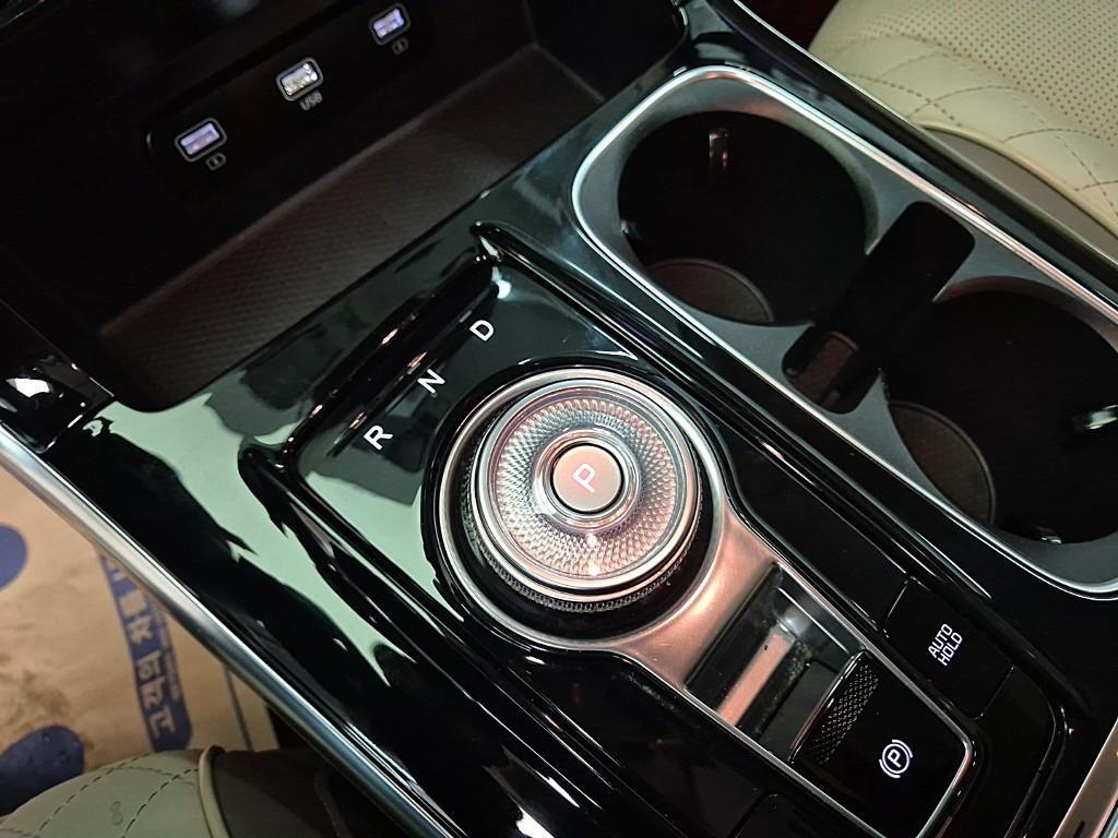 KIA Carnival - Vista 8