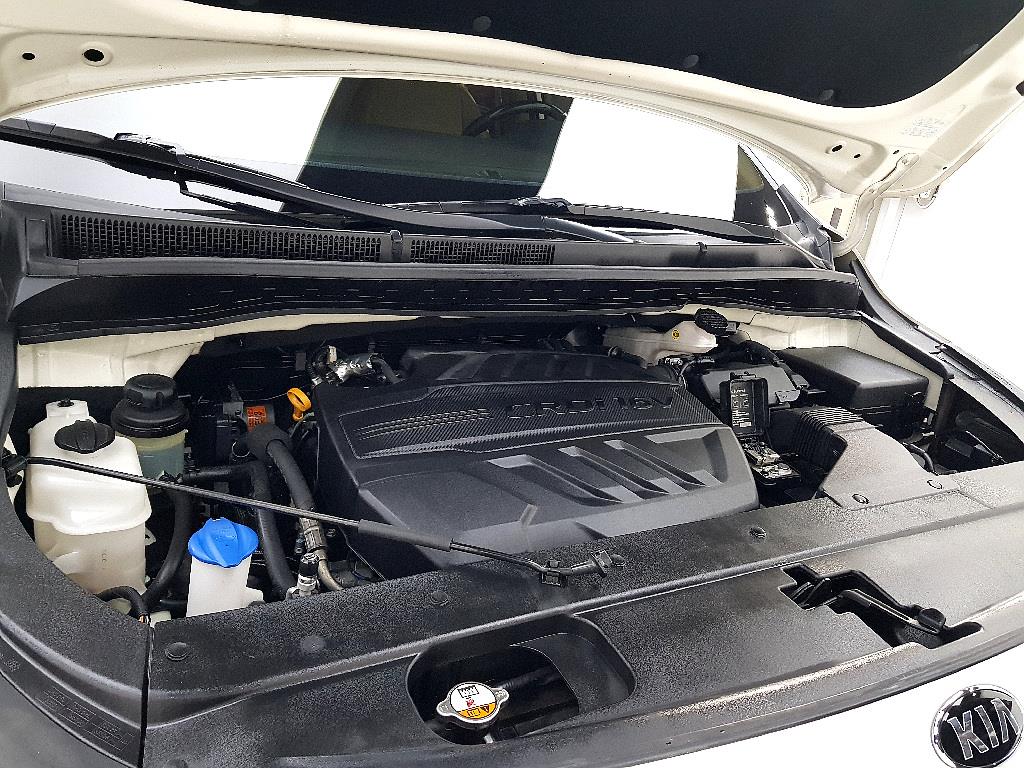 KIA Carnival - Vista 6