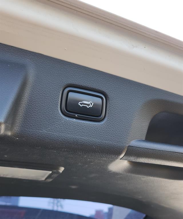 HYUNDAI Palisade - Vista 9