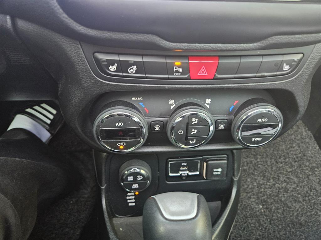 Jeep Renegade - Vista 12