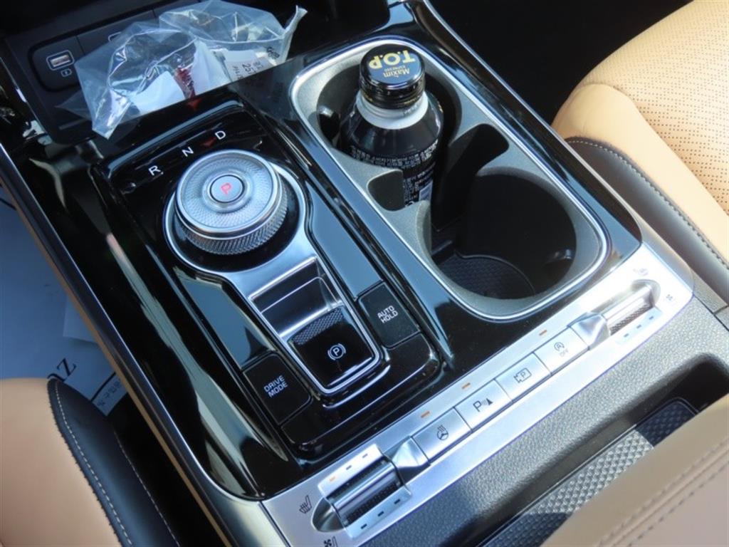 KIA Carnival - Vista 11