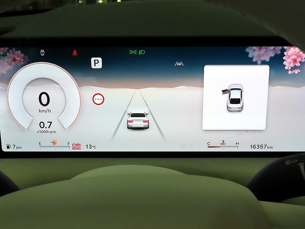 Genesis G80 - Vista 9