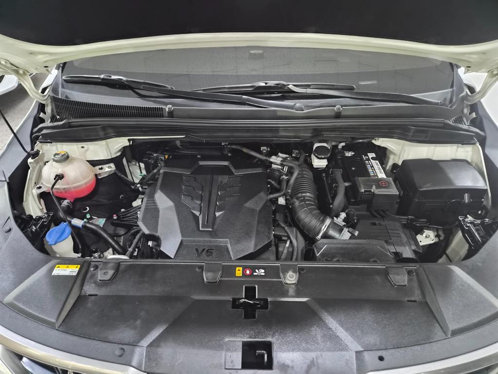 KIA Carnival - Vista 6