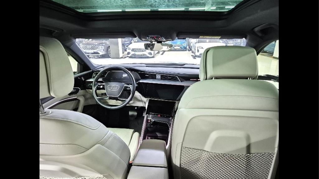 Audi e-Tron - Vista 6