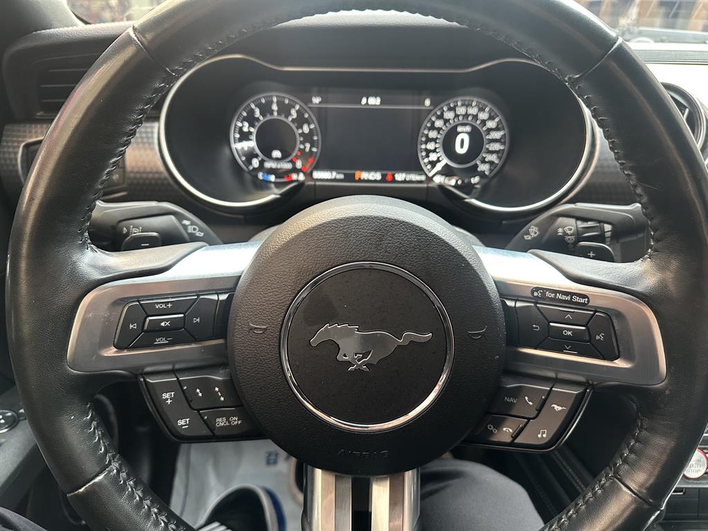 Ford Mustang - Vista 11