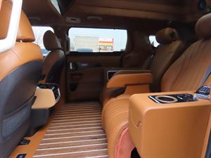 KIA Carnival - Vista 12