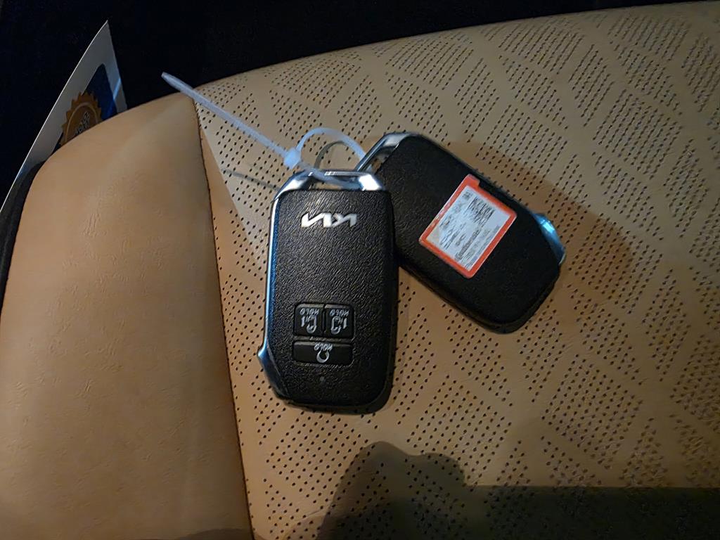 KIA Carnival 2023 Negro - Importación desde Corea - HF Imports Iquique - Foto 15