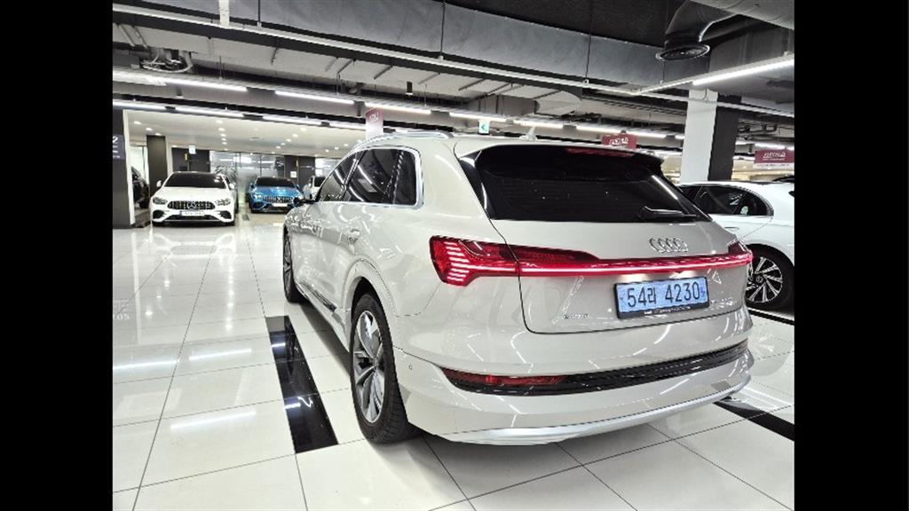 Audi e-Tron - Vista 5