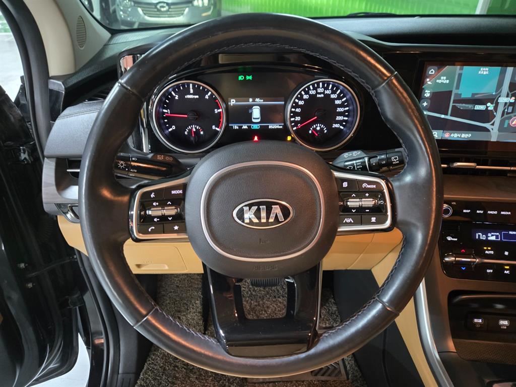 KIA Carnival - Vista 10
