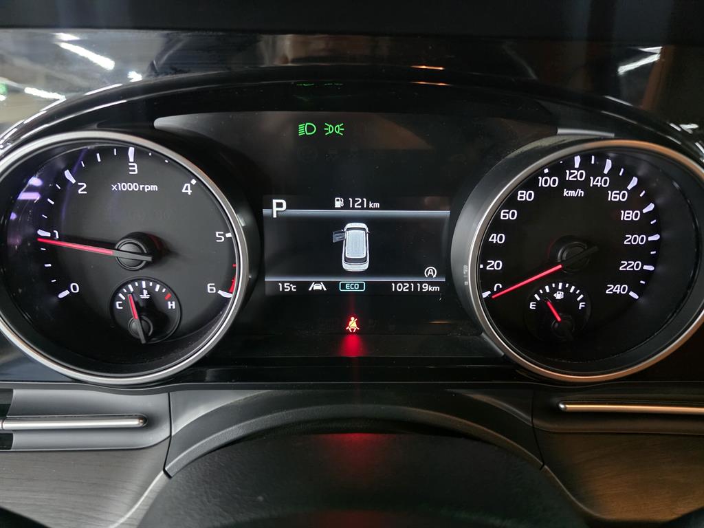 KIA Carnival - Vista 12