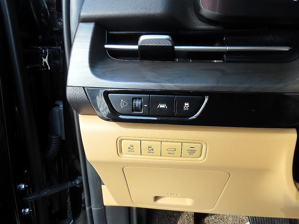 KIA Carnival - Vista 12