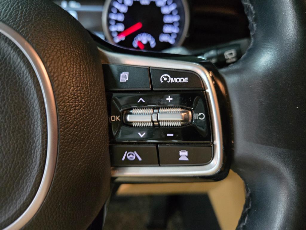 KIA Carnival - Vista 11