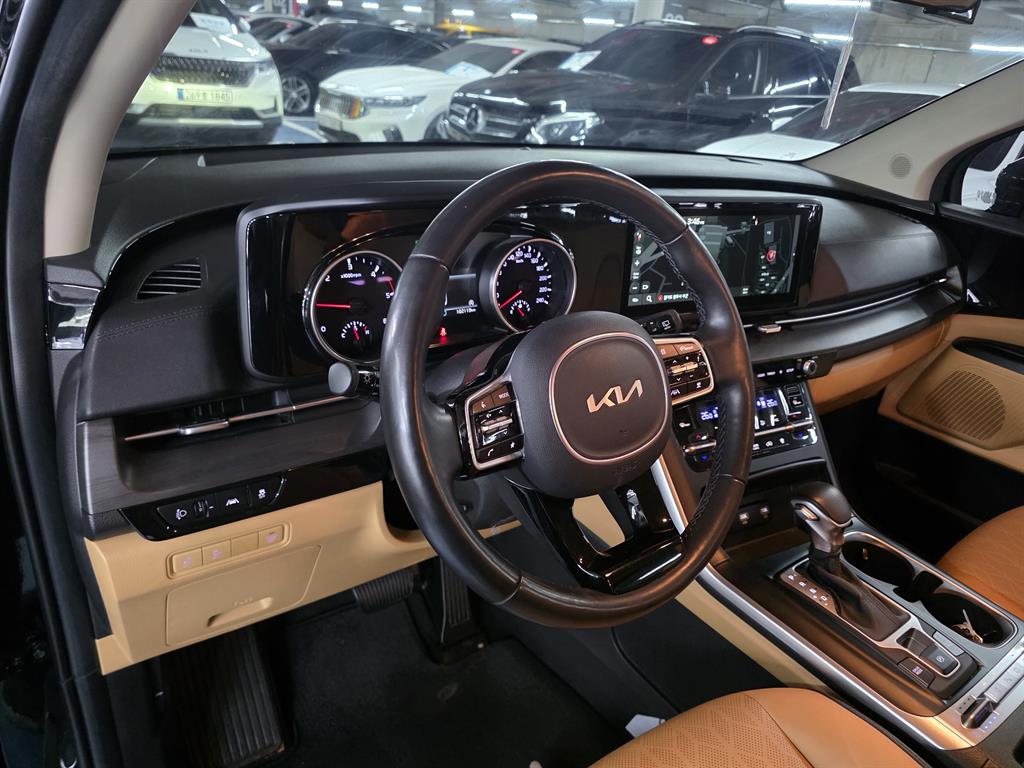 KIA Carnival - Vista 10