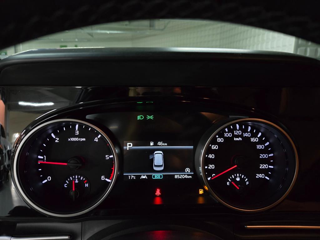 KIA Carnival - Vista 9