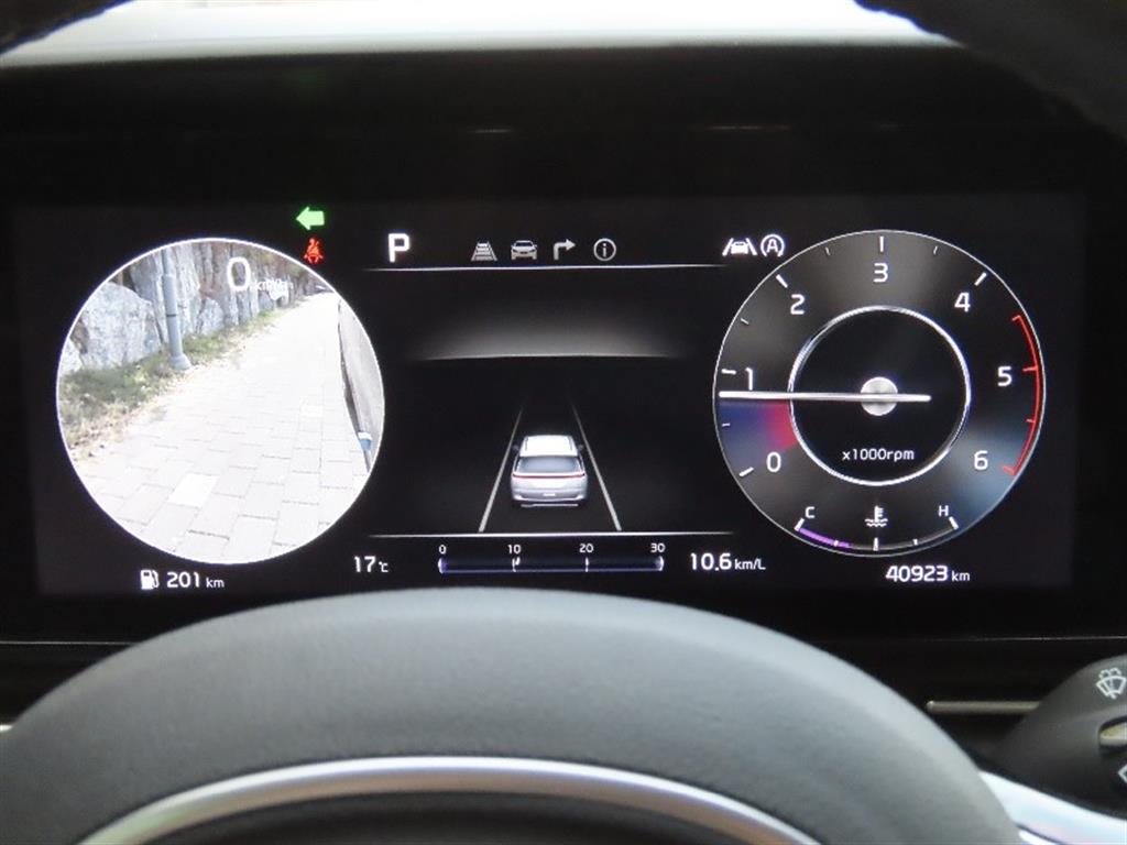 KIA Carnival - Vista 9