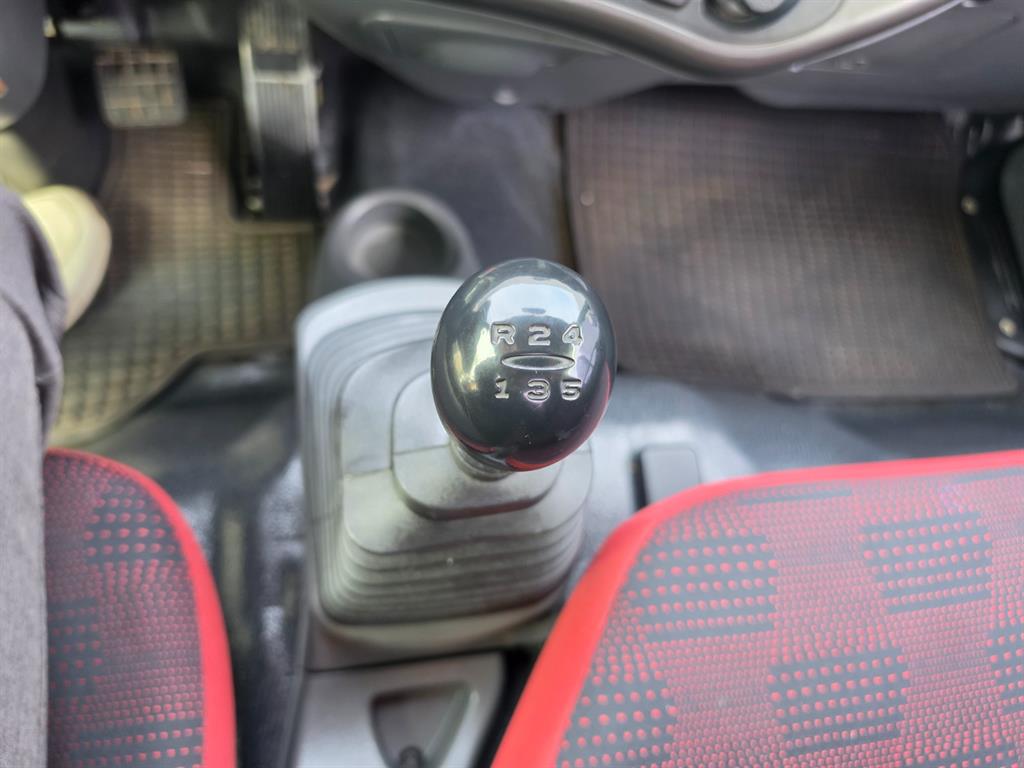 medium and large cargo Rory - Vista 11