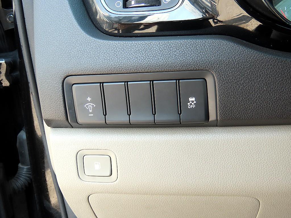 KIA Carnival - Vista 12