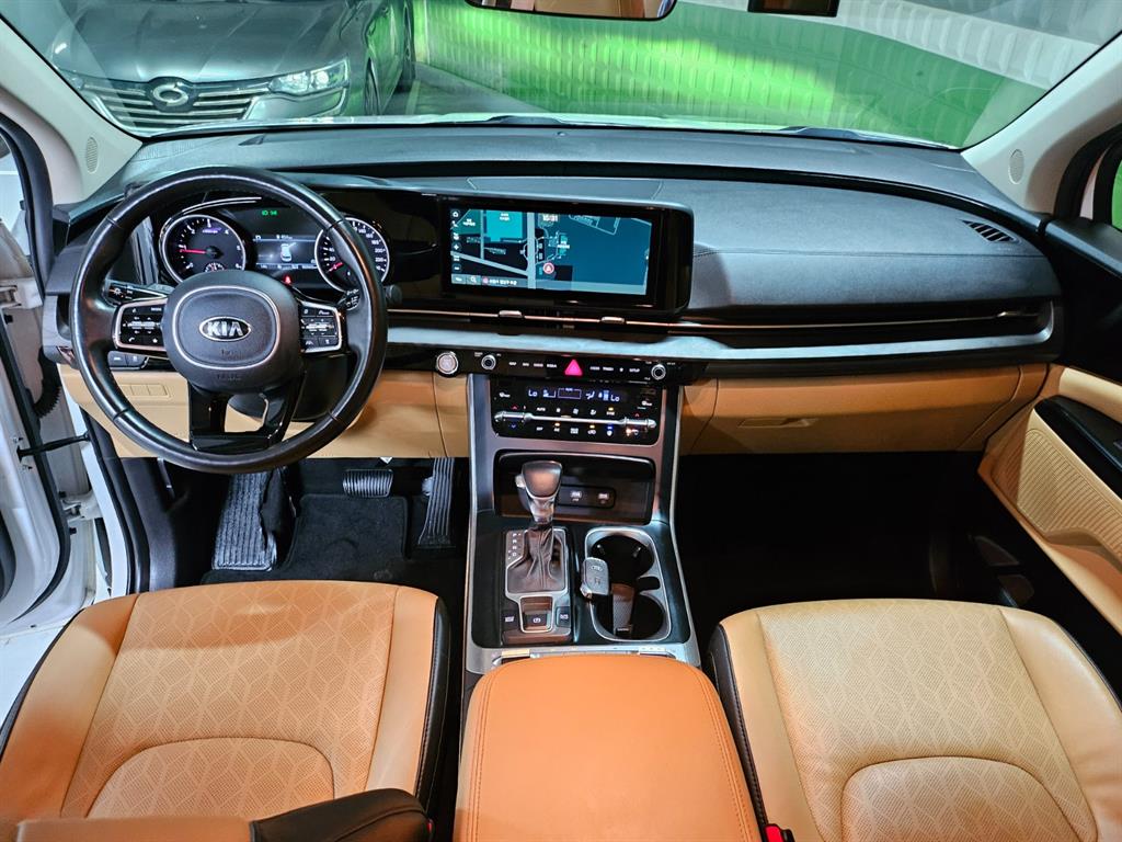 KIA Carnival - Vista 8