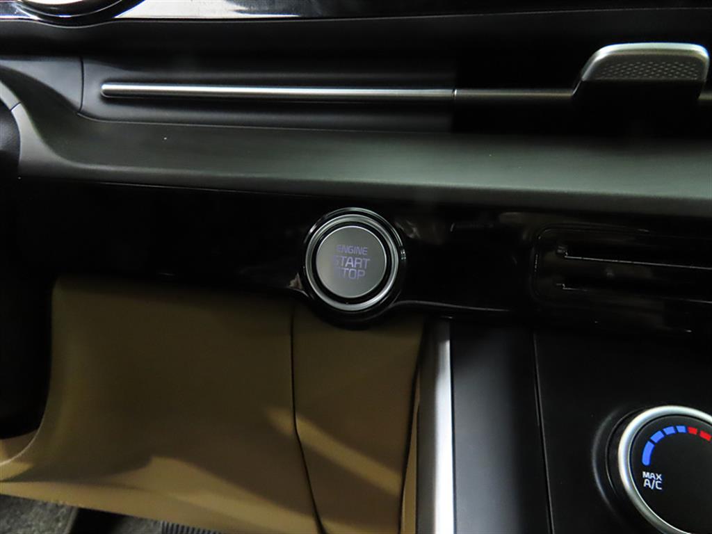 KIA Carnival - Vista 12