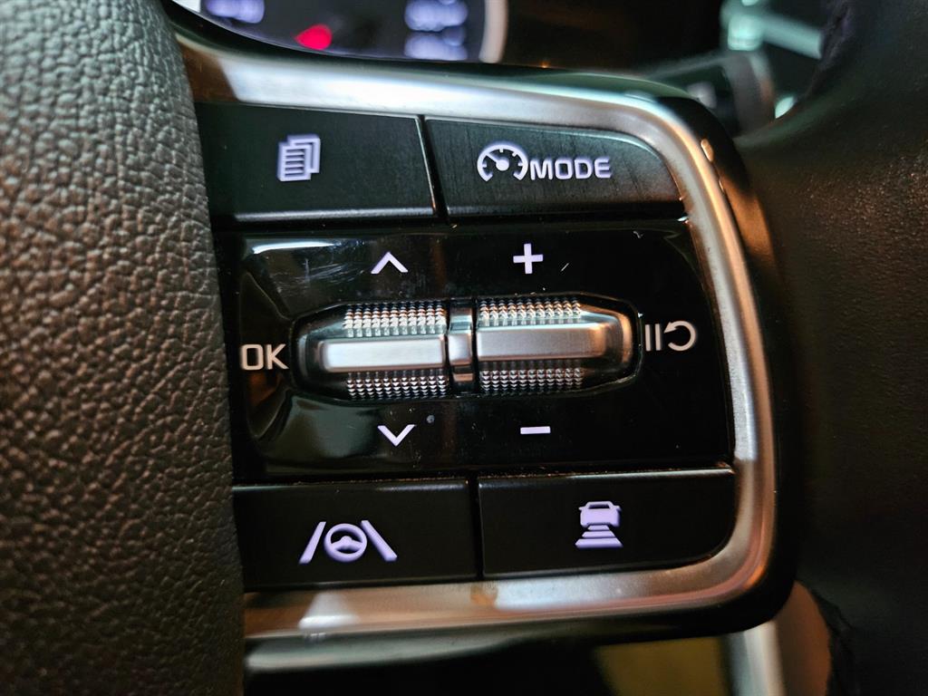 KIA Carnival - Vista 11